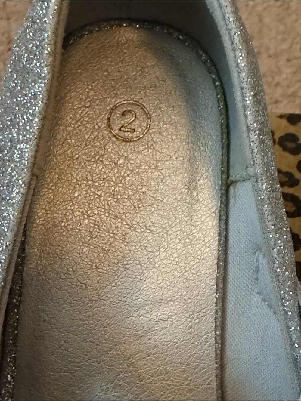 ✨ Sparkle Mary Janes | Girls’ Sz 2 ✨